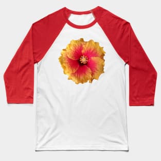 yellow red flower, hibiscus, flowers, blossom, Baseball T-Shirt